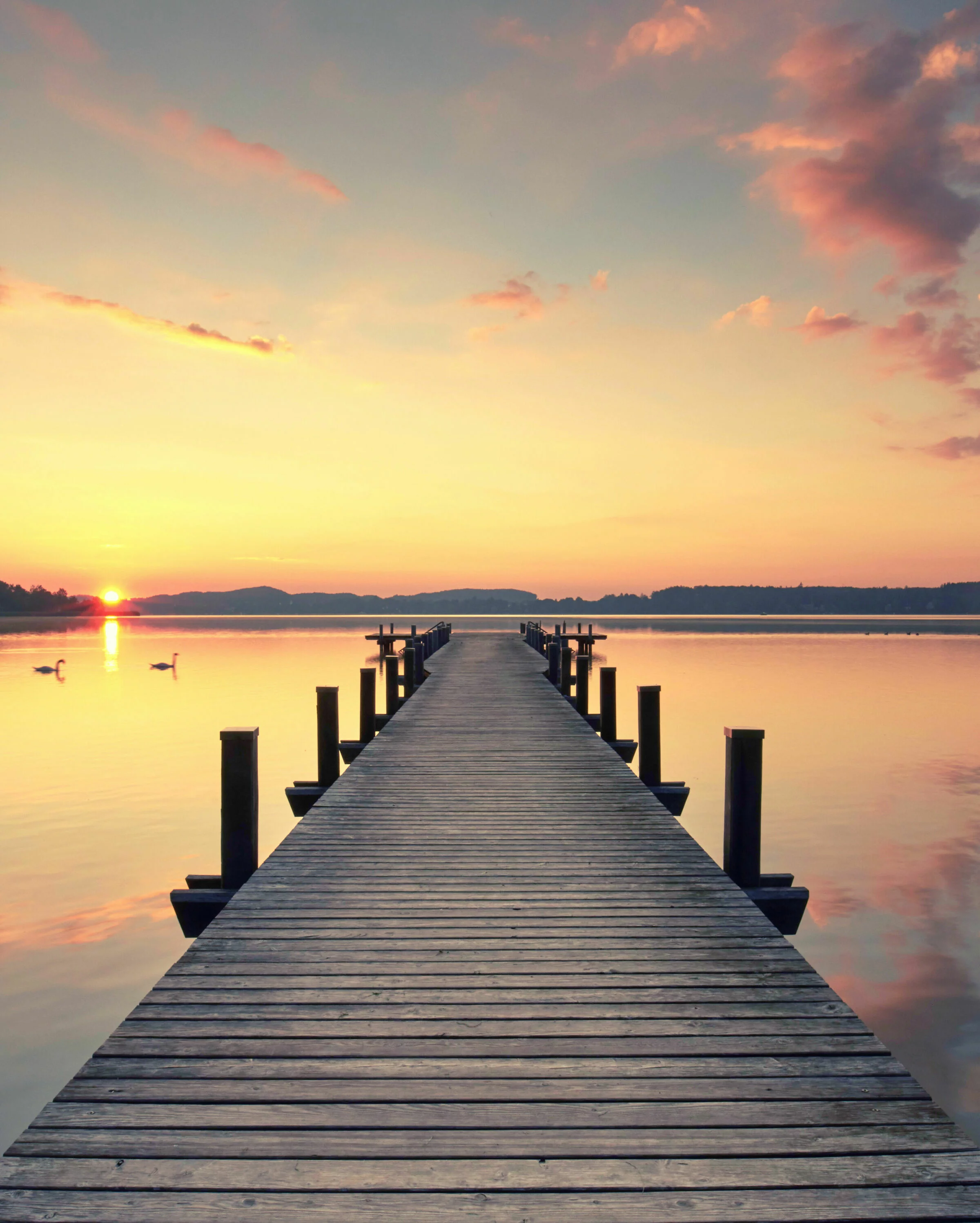 Holzsteg bei Sonnenaufgang, der über einen ruhigen See mit Schwänen führt